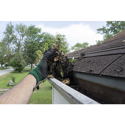 Gutter Clean-Up Red Top Lawn Care Services