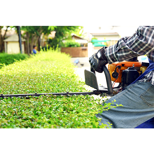 Trim Hedges Red Top Lawn Care Services