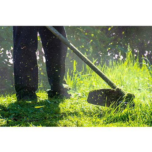 Weed Eater Red Top Lawn Care Services