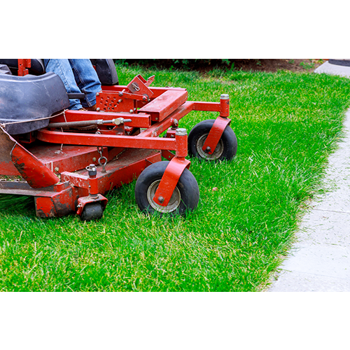 Zero Turn Mower Red Top Lawn Care Services